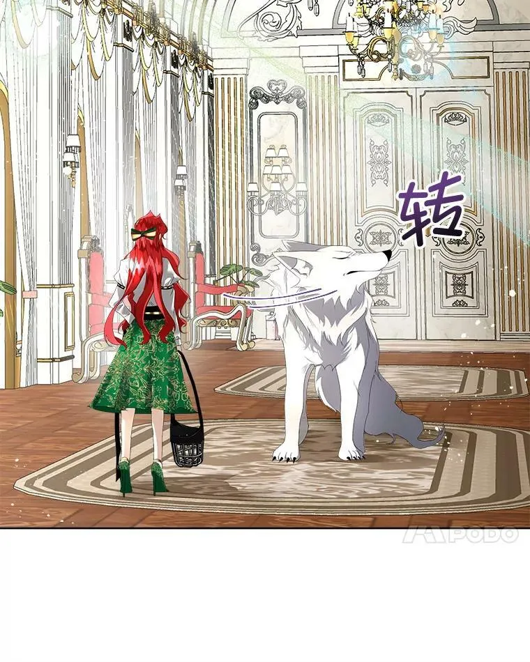 6.乌鸦6