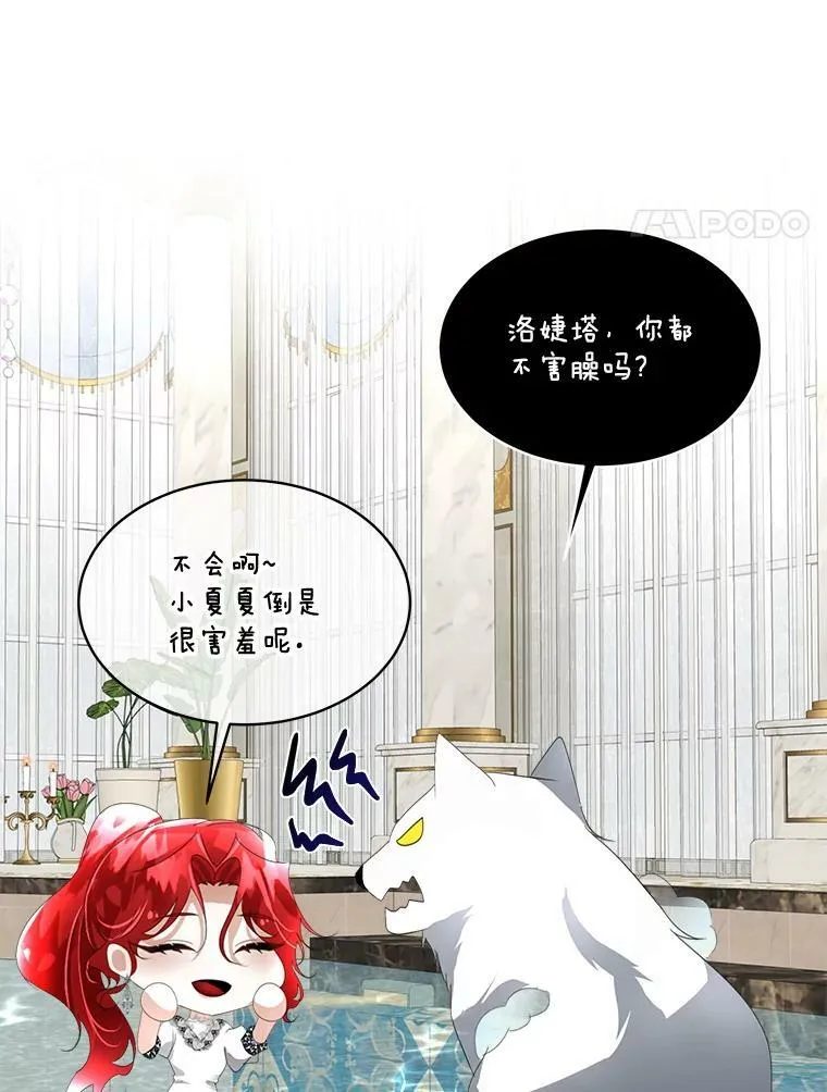 13.莱纳德3
