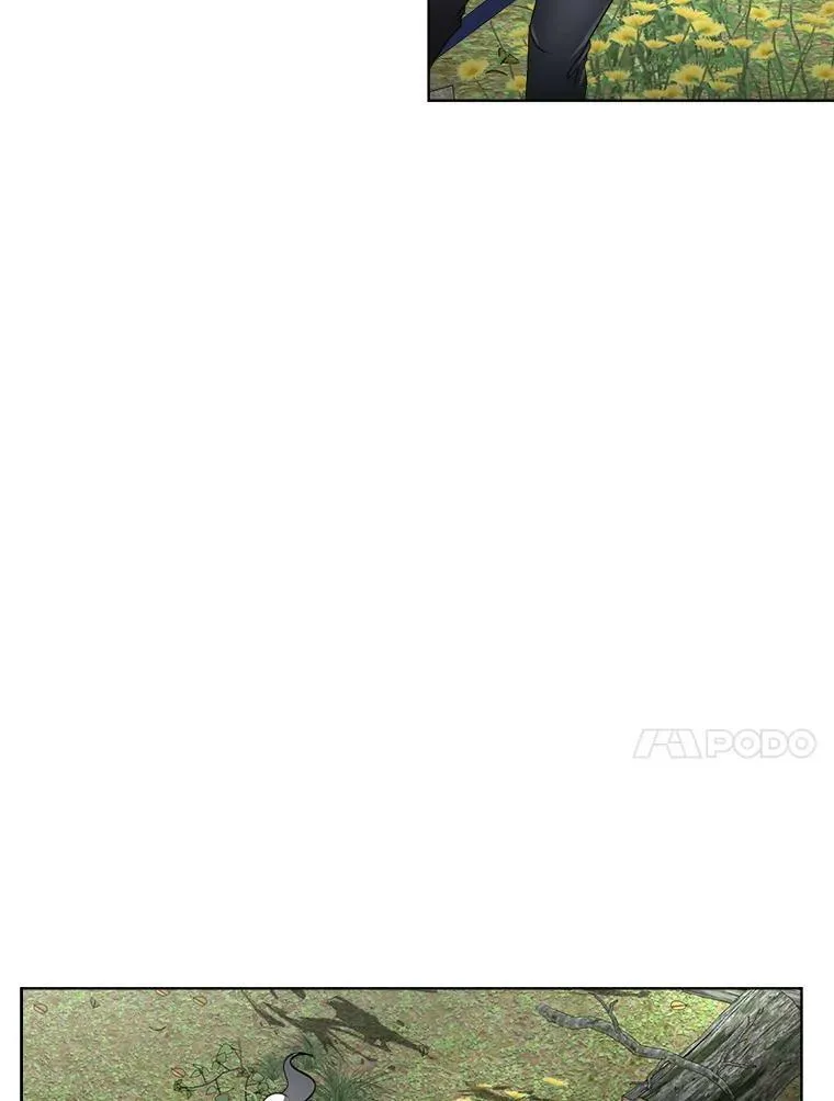 22.奇美拉31