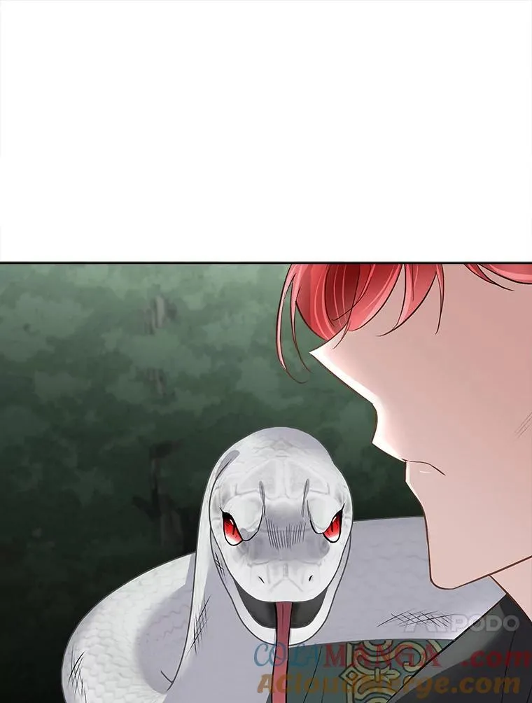 51.获救81