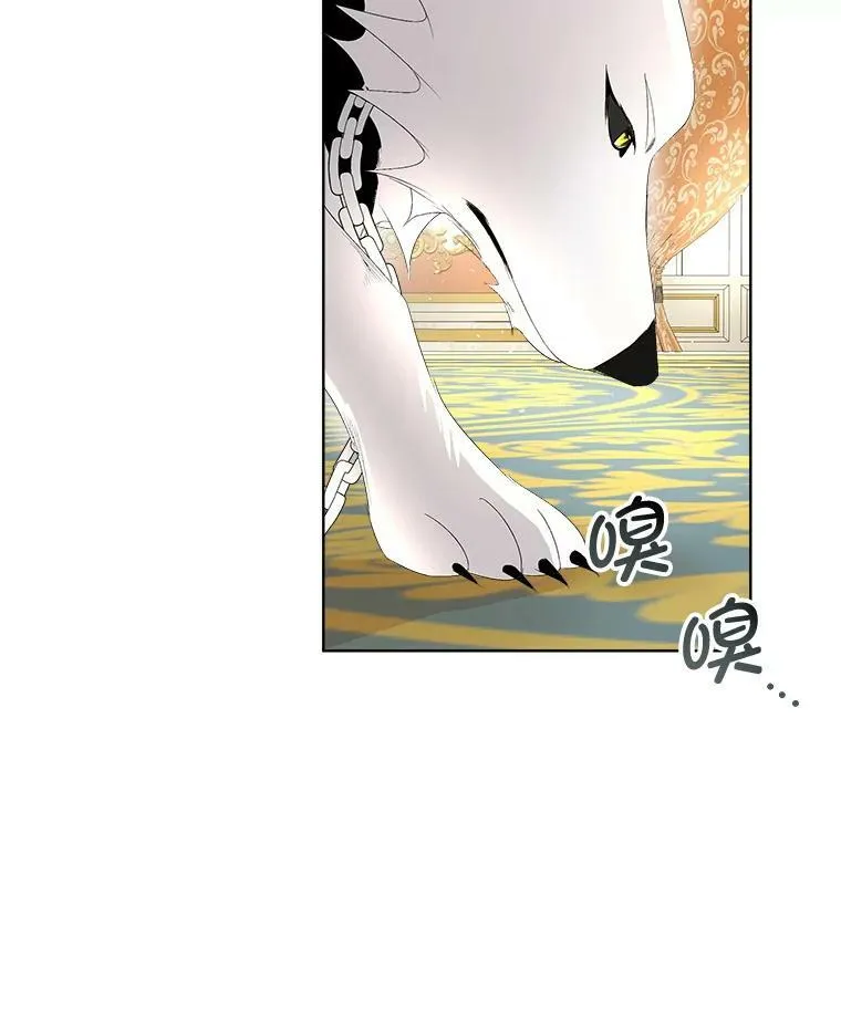 3.训练5