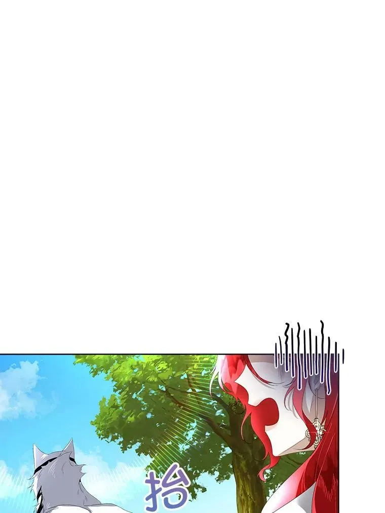 6.乌鸦11