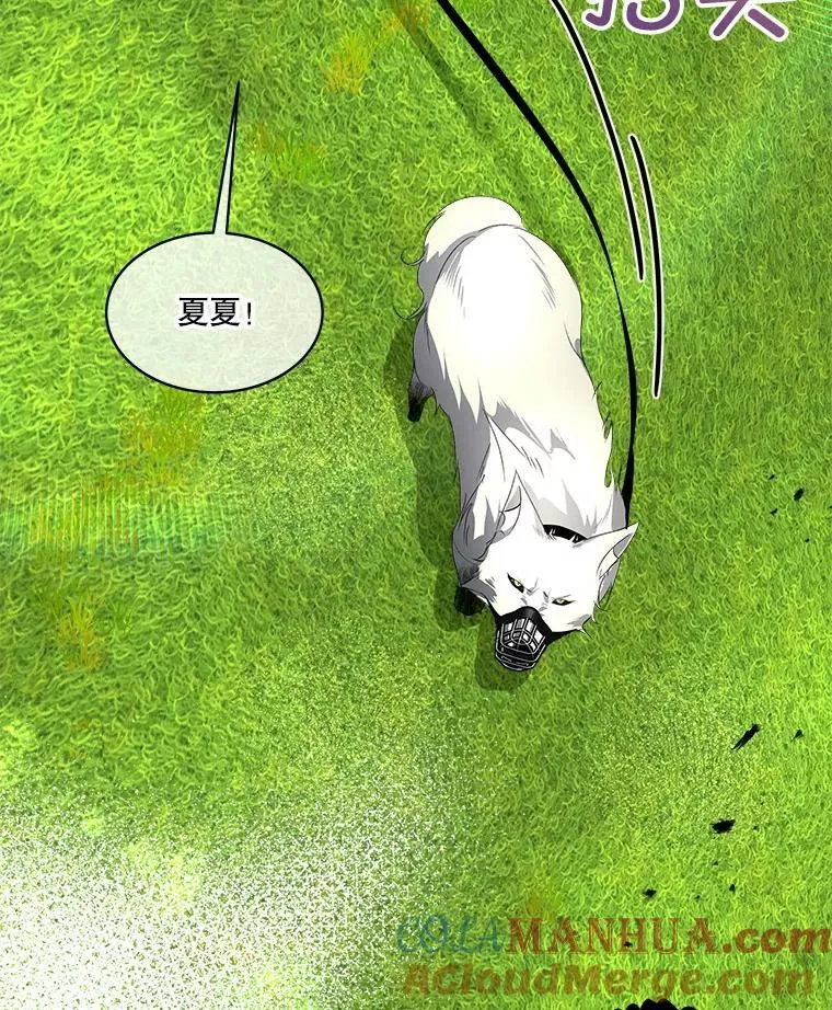 6.乌鸦52
