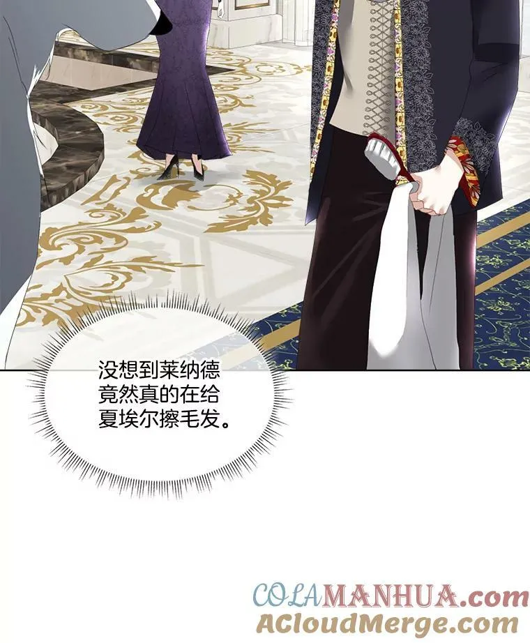 13.莱纳德64