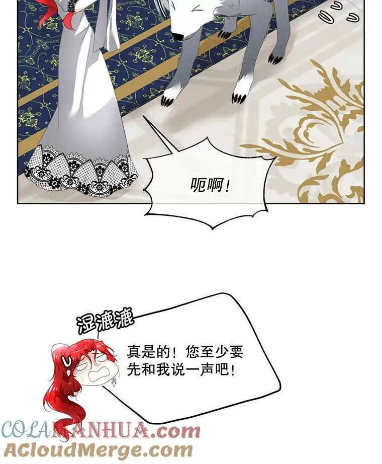 13.莱纳德8