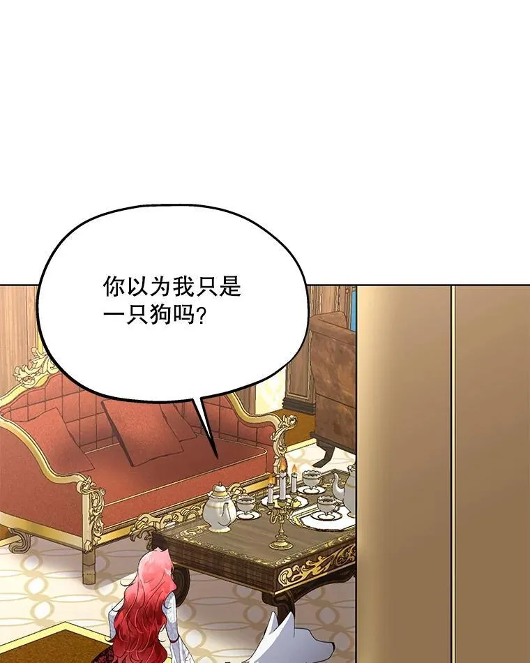 39.理性的夏夏57