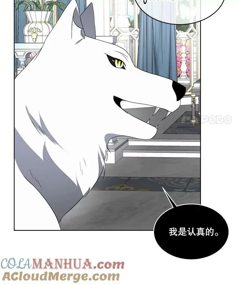 20.理想型28