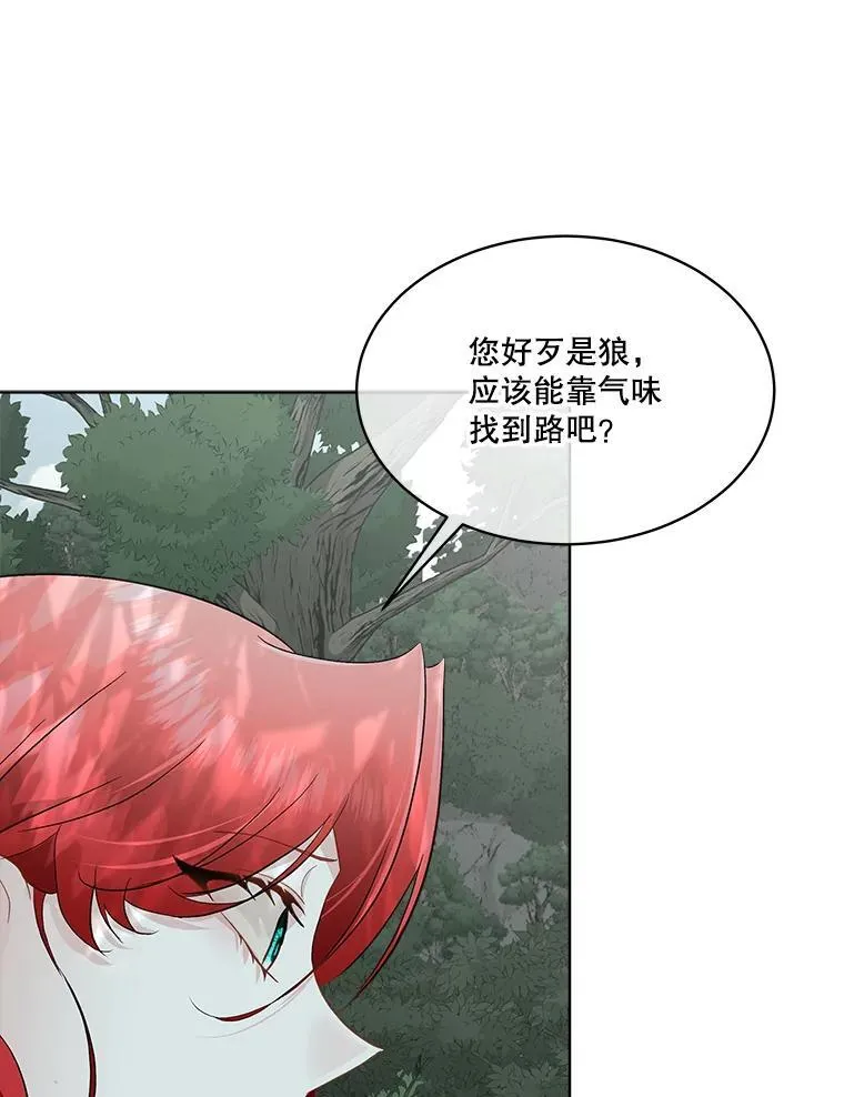 46.森林迷路75