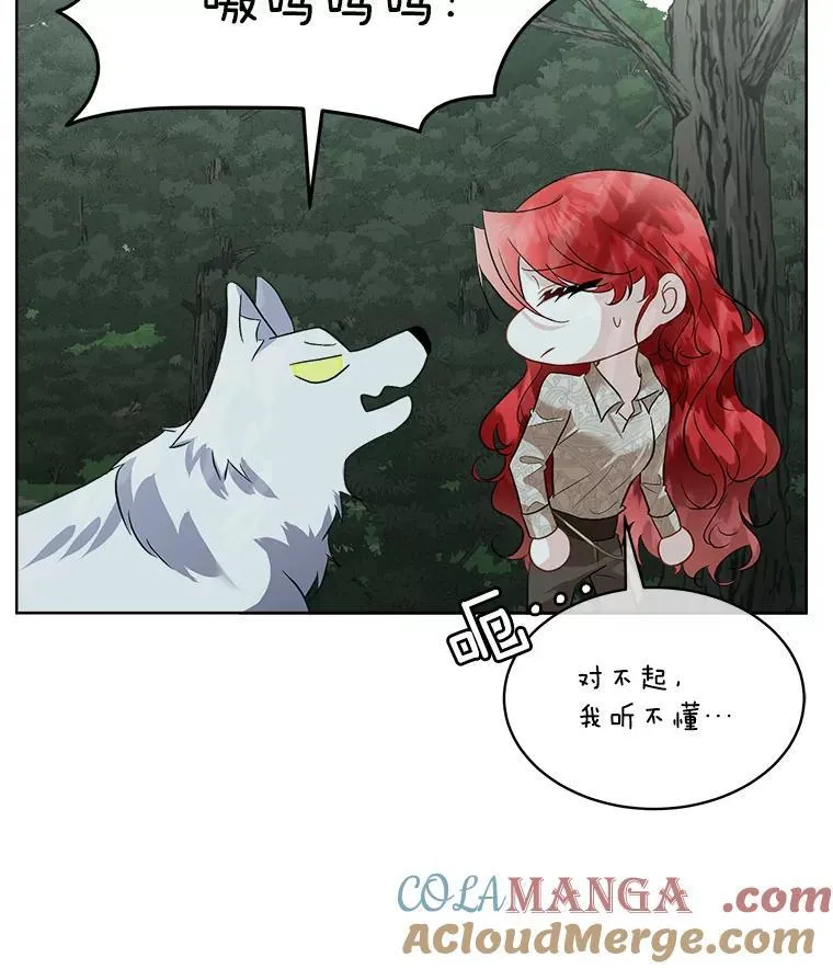 46.森林迷路96