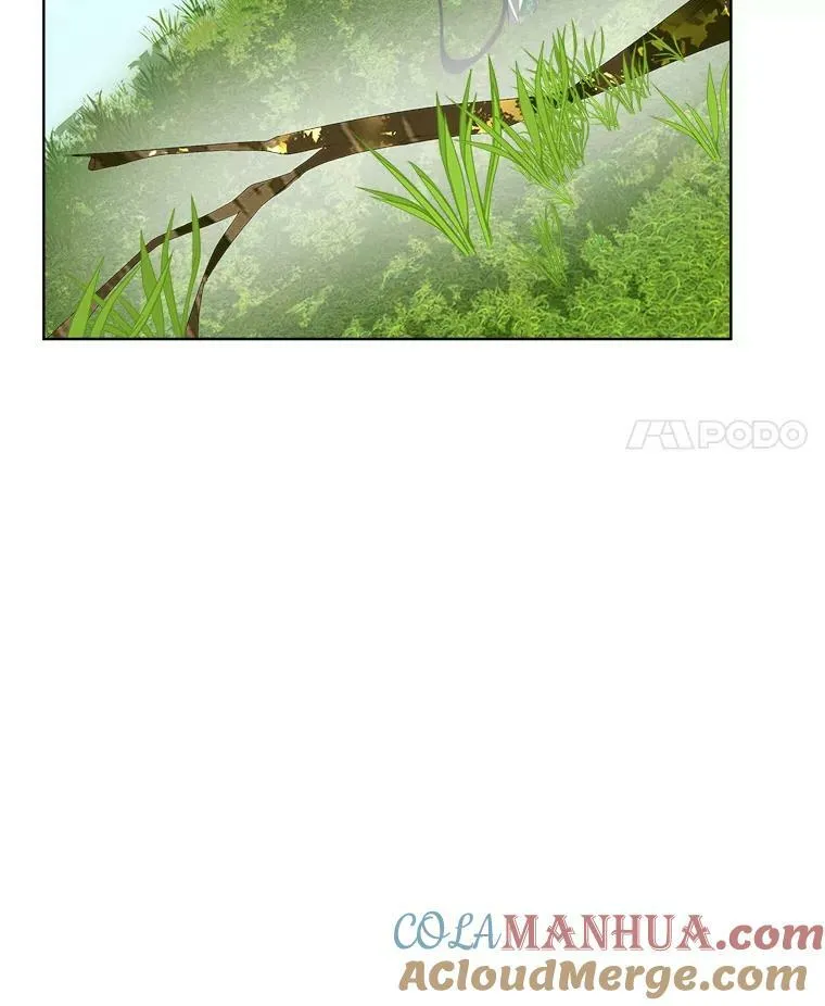 6.乌鸦40