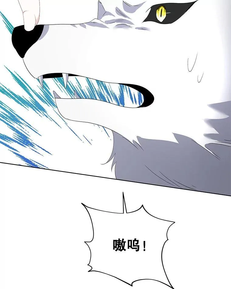 39.理性的夏夏37