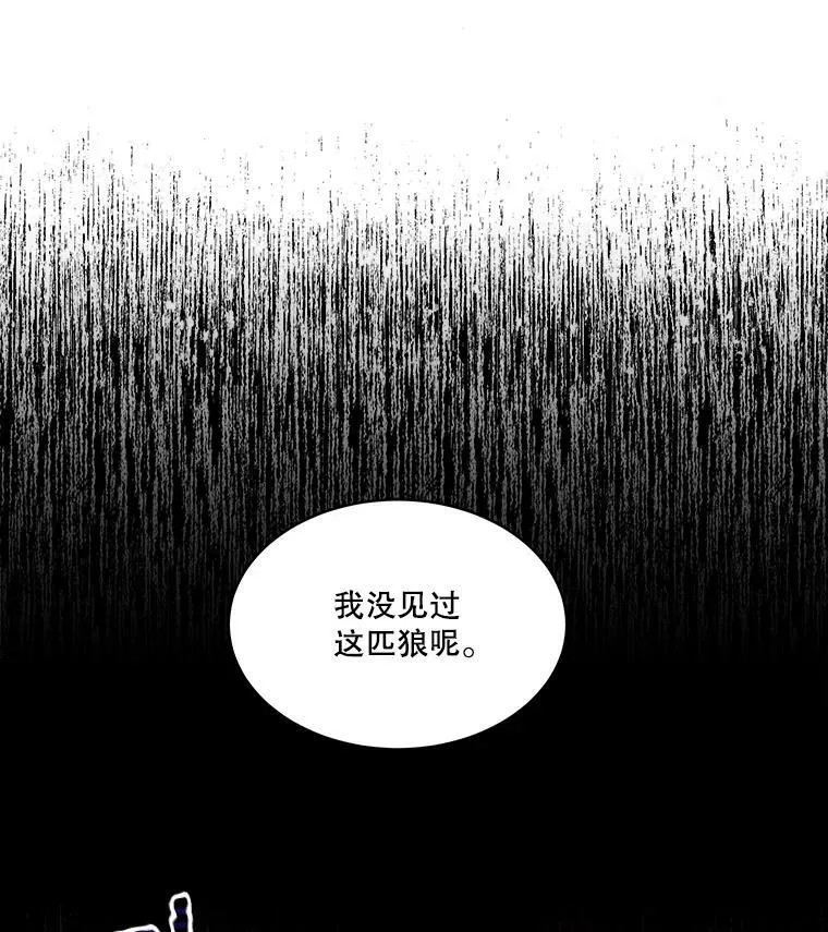 6.乌鸦139