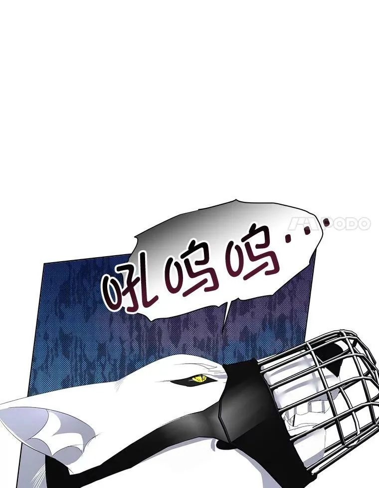 6.乌鸦54