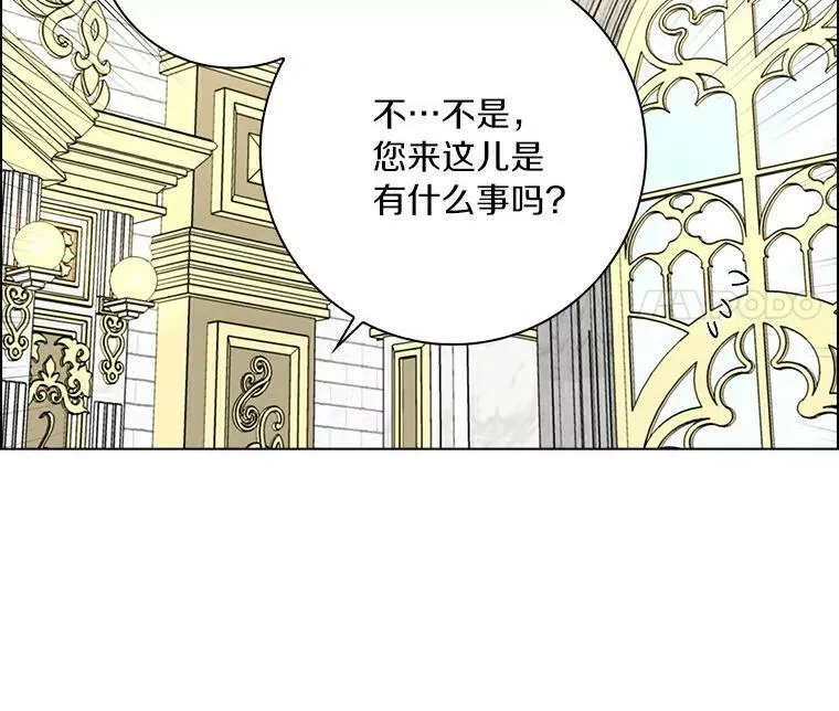 17.试探11