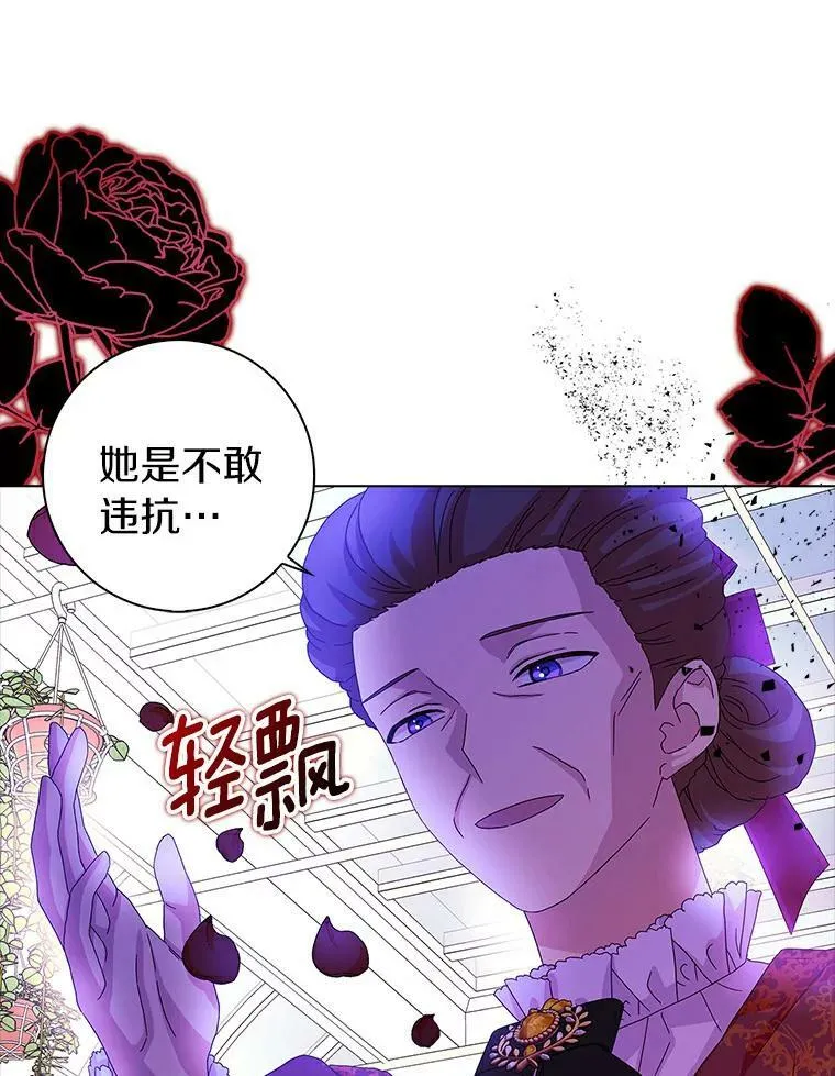 24.子爵夫人的目的11