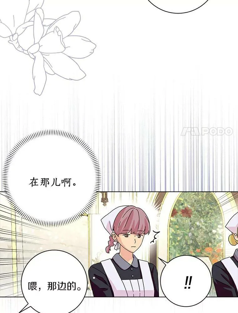 17.试探43