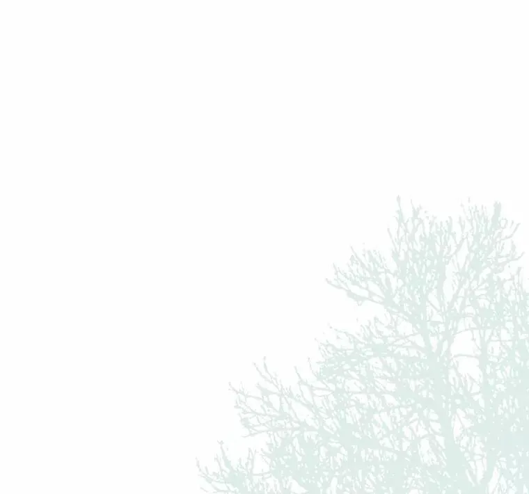 44.静待结果9