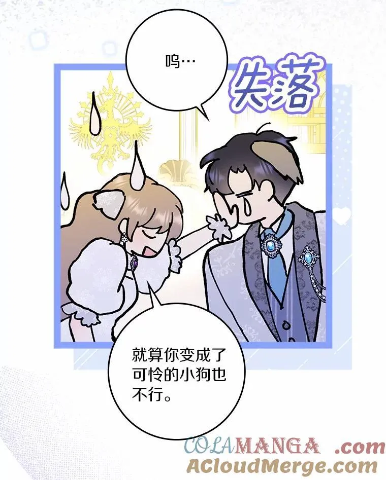 66.皇帝的提议104