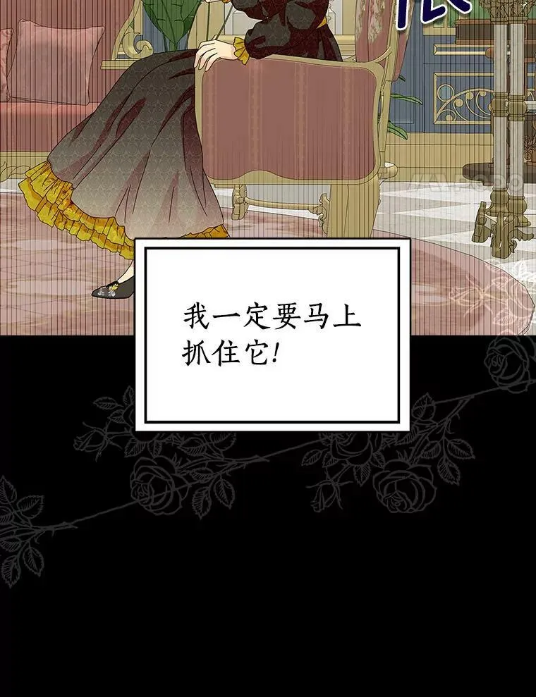 30.天赐良机45