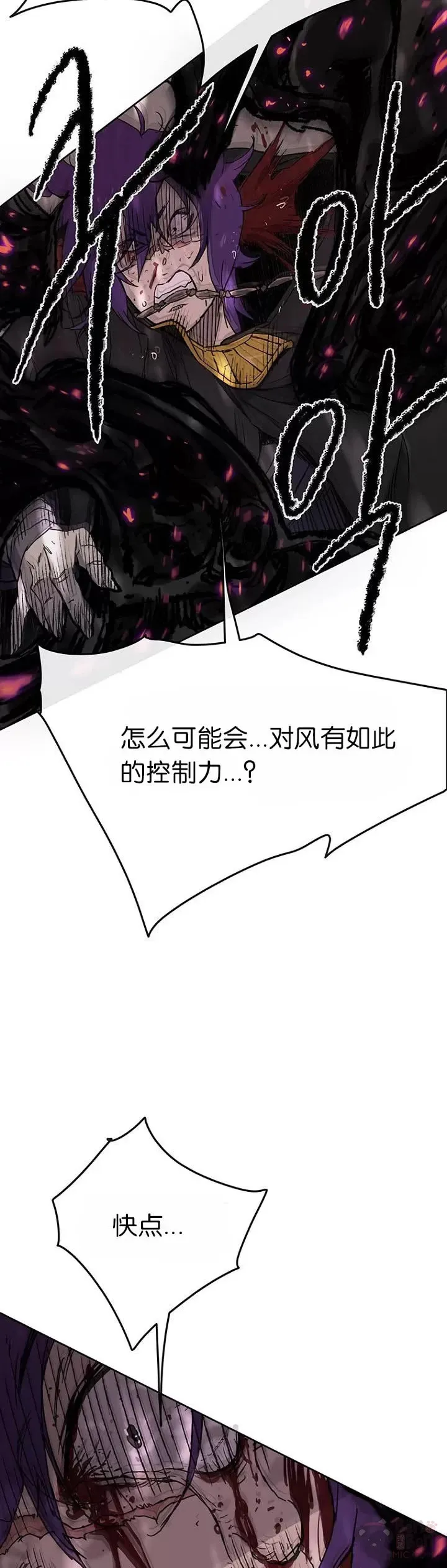 第21话 狂风掌19