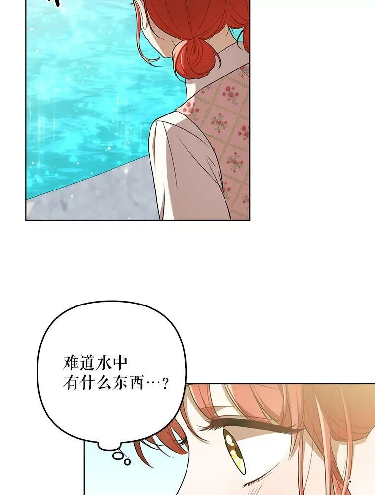 30.净化58