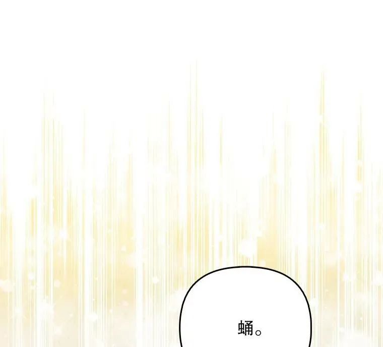 36.生日礼物23