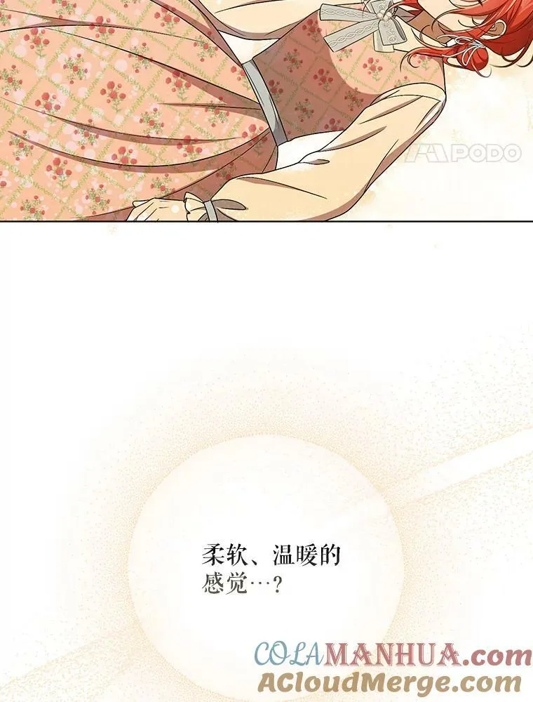 30.净化3