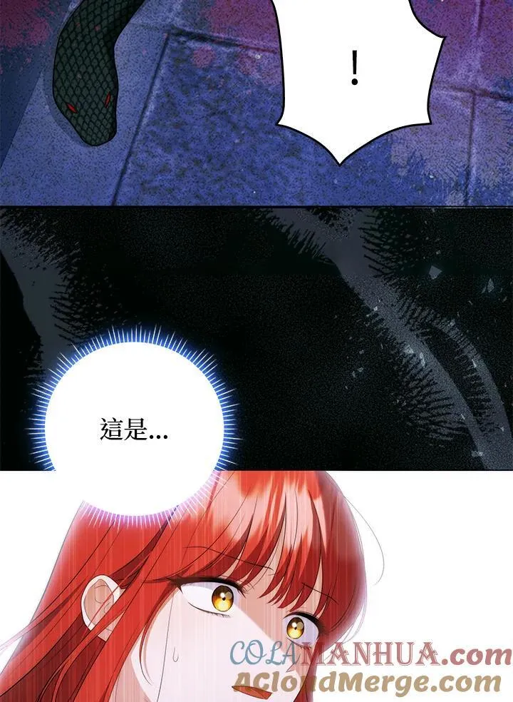 第49话48