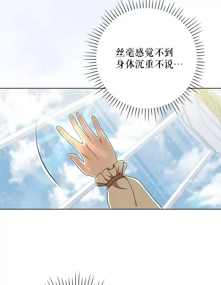 30.净化19