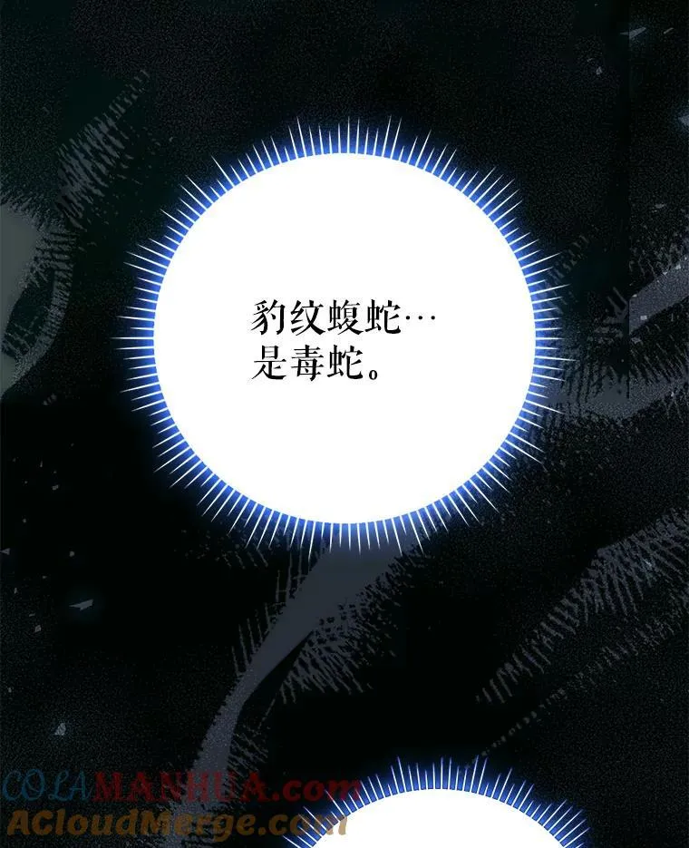 49.秘密通道52