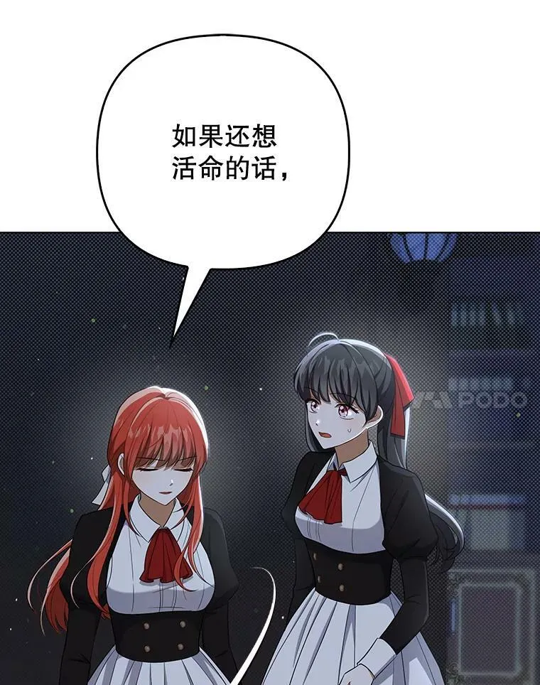 35.揭秘54