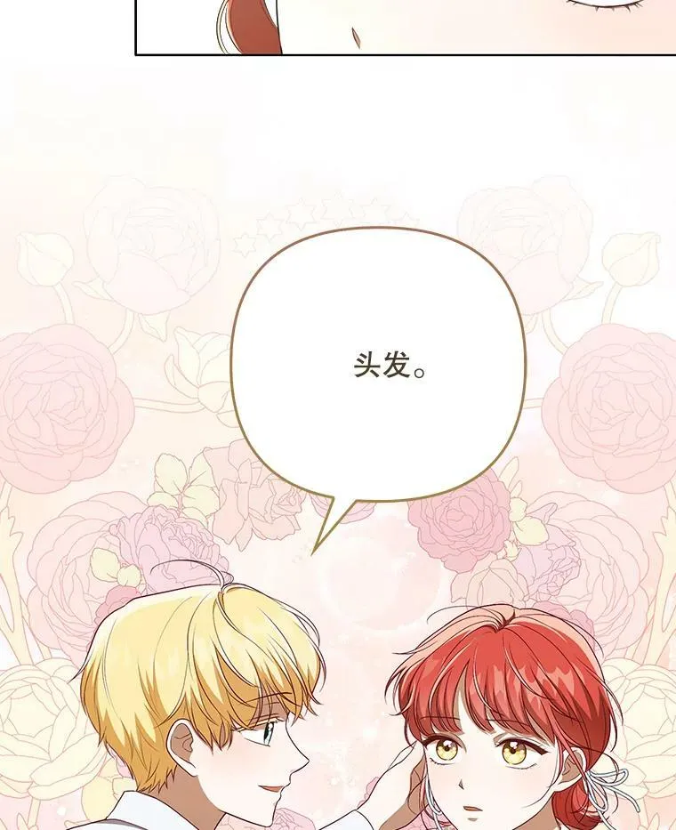 30.净化68