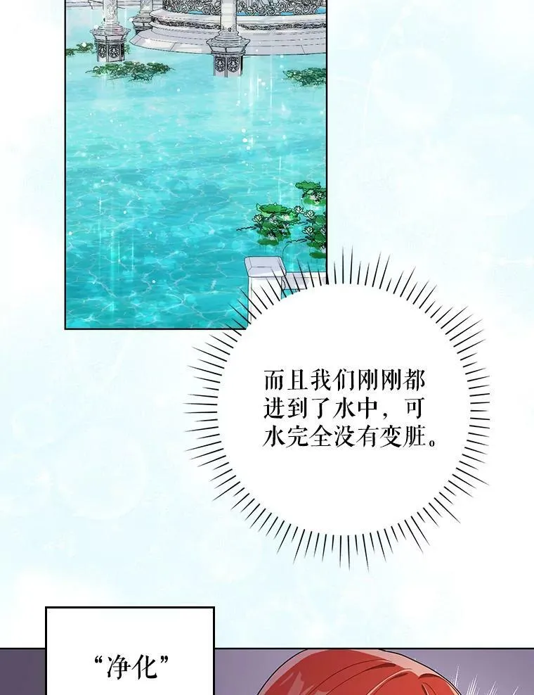 30.净化28