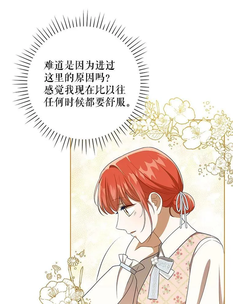 30.净化32