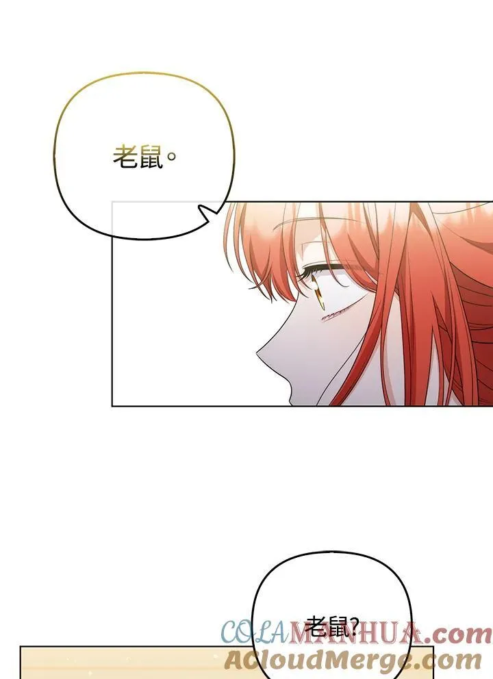 第51话51