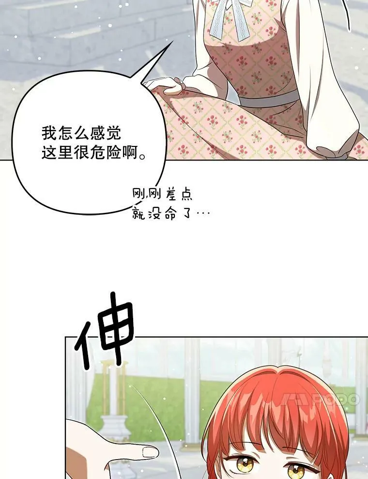 30.净化23