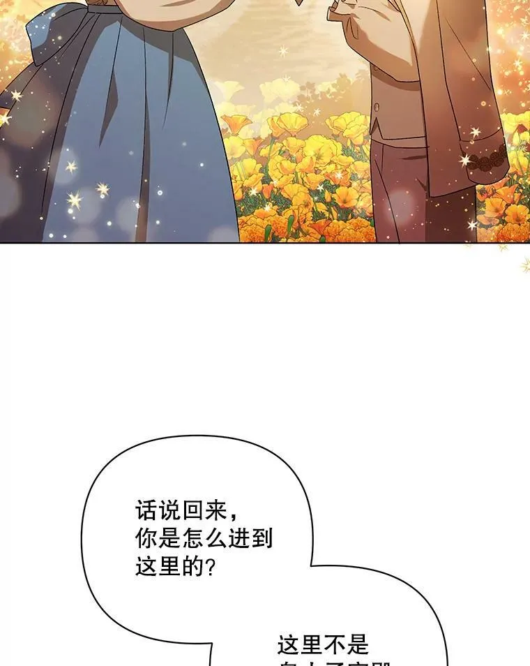 12.再次相遇8