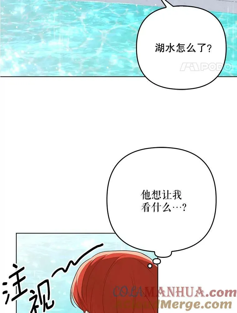 30.净化57