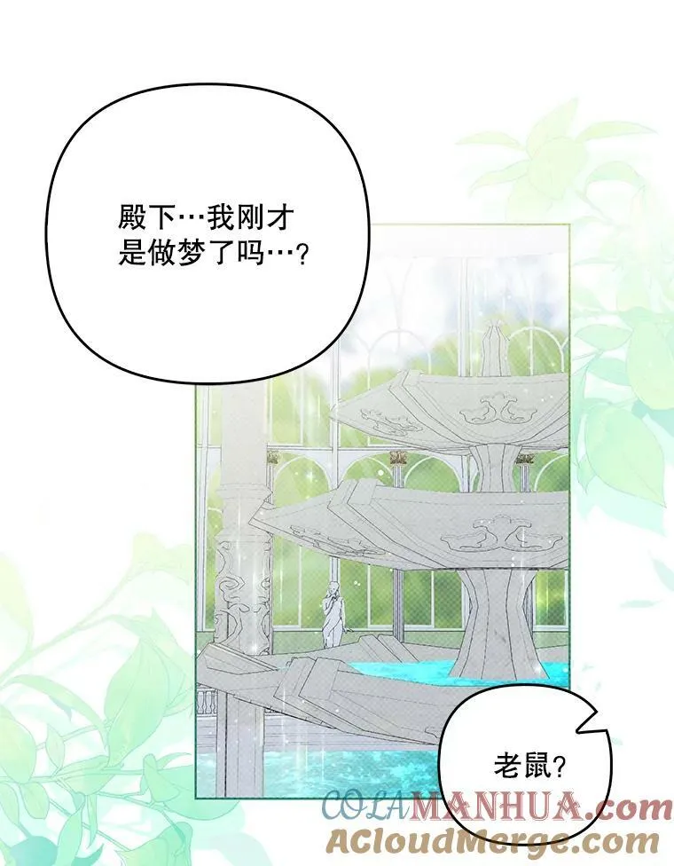 30.净化12