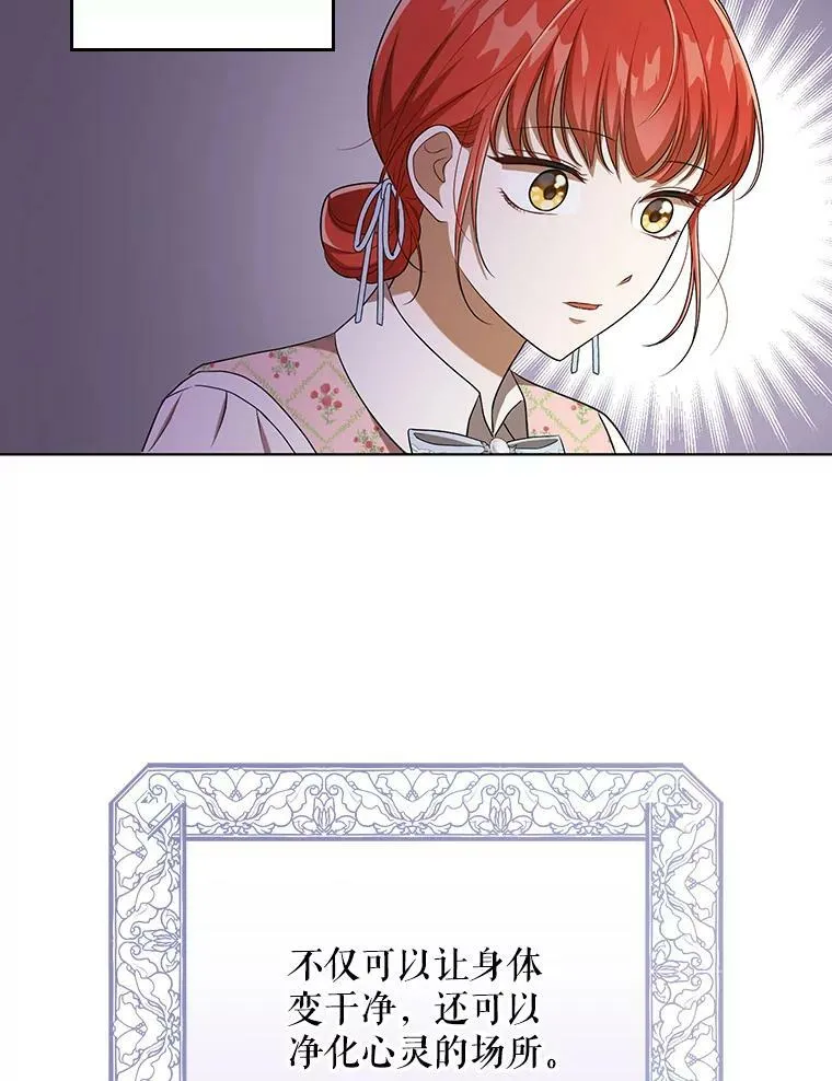30.净化29