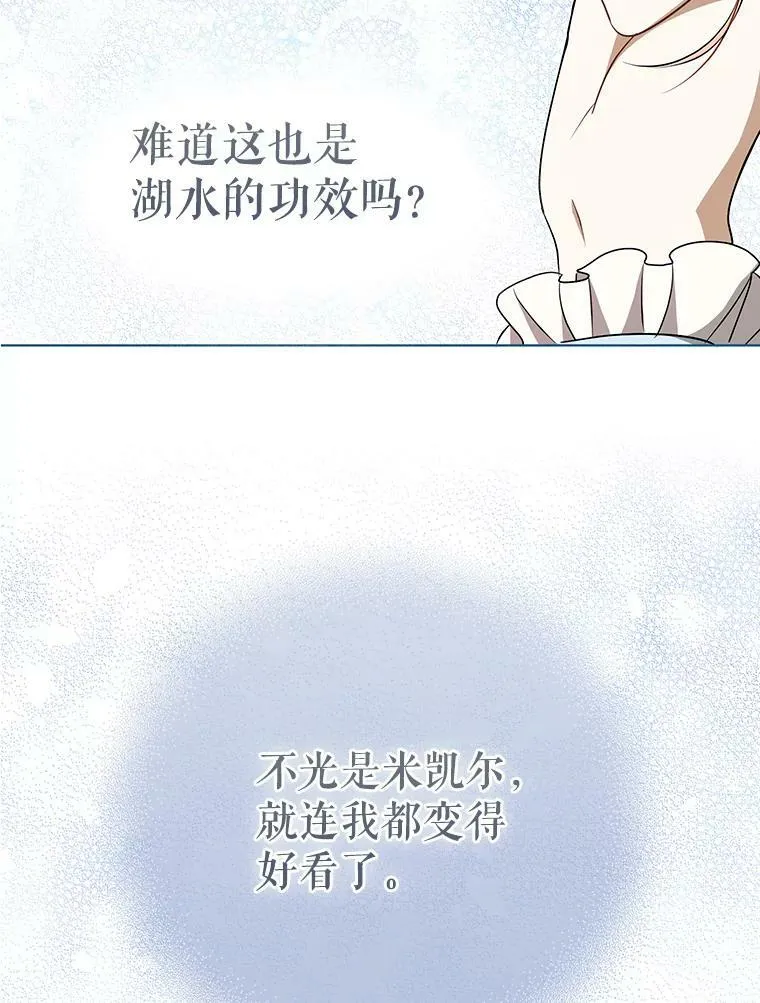 30.净化62