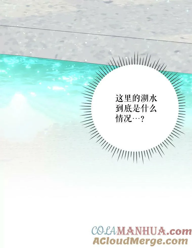 30.净化21