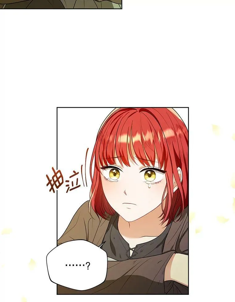 4.信物64