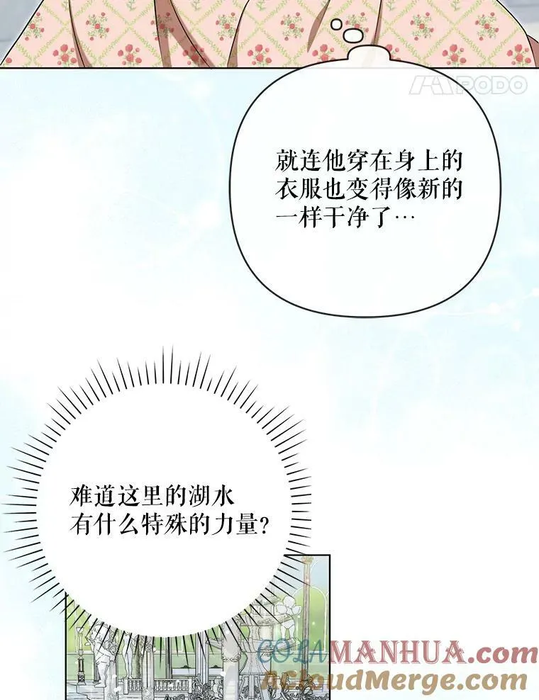 30.净化27