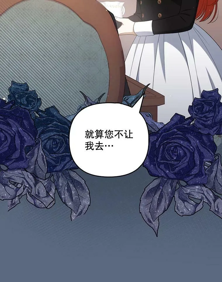 36.生日礼物11