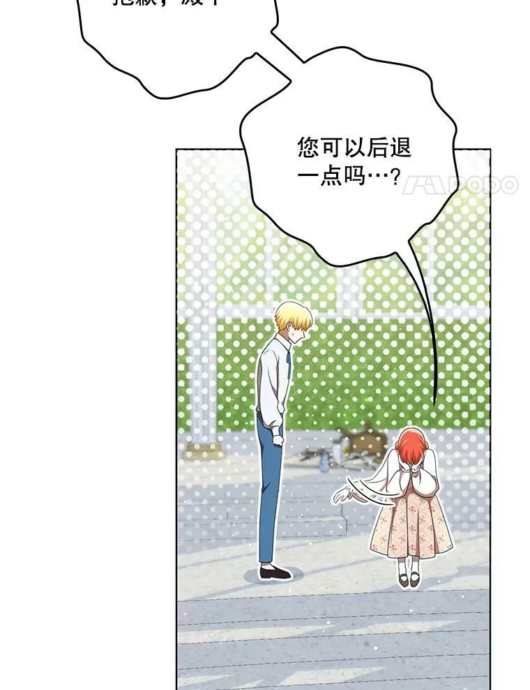 30.净化40