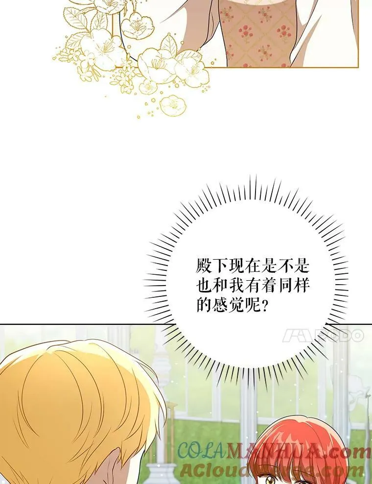 30.净化33