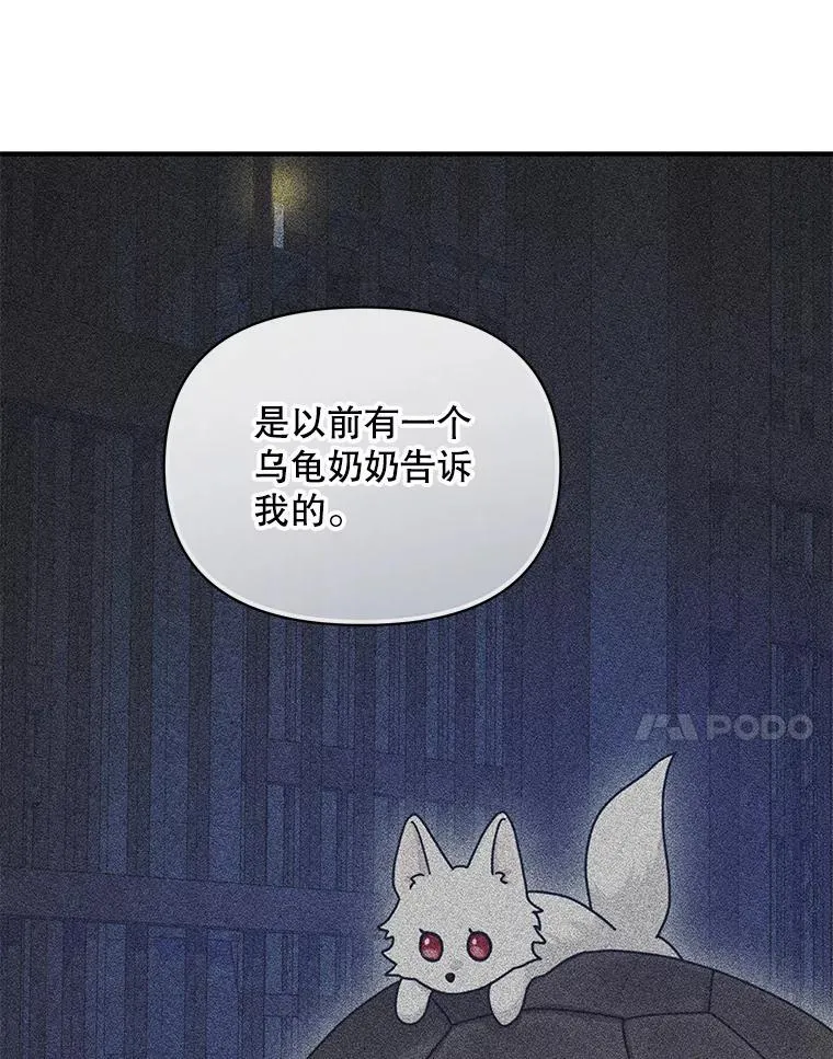 65.诺尔表达心意6