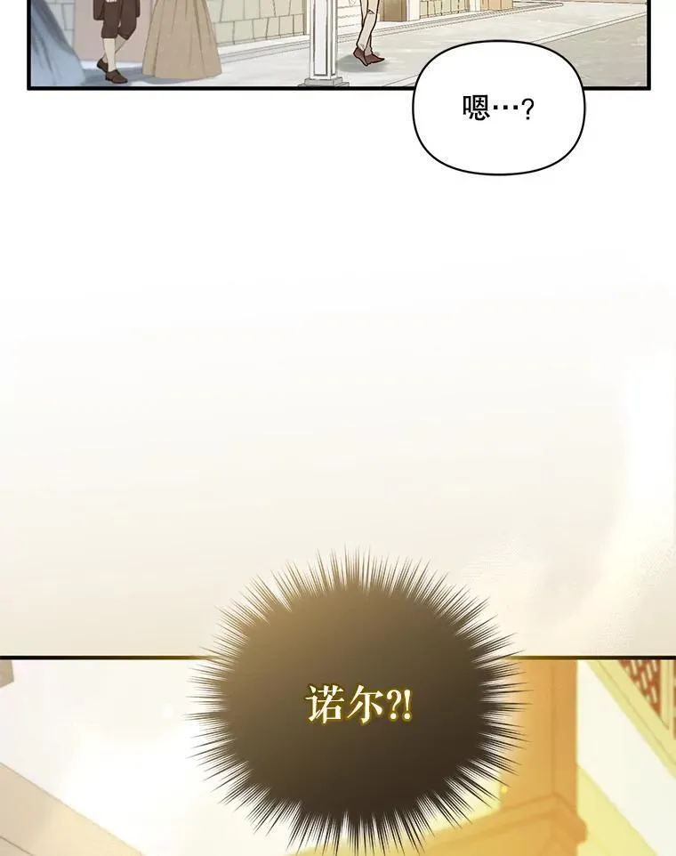 45.偶遇诺尔175