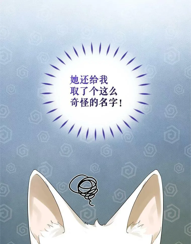 12.攻击82